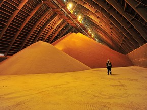 Prices of potash, a key input used in nitrogen fertilizers, have soared since Western sanctions were imposed against Russia for its invasion of Ukraine, exacerbating an already tight market.
