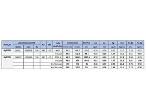 Summary table for holes Bg21003 and Bg21004