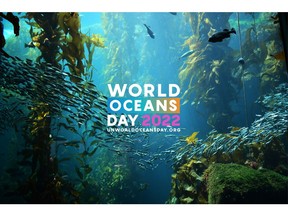 United Nations World Oceans Day 2022 and the Ninth Annual Photo Competition is hosted by the United Nations Division for Ocean Affairs and the Law of the Sea, Office of Legal Affairs, with the generous contribution of Oceanic Global, which is made possible by La Mer