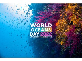 United Nations World Oceans Day 2022 is hosted by the United Nations Division for Ocean Affairs and the Law of the Sea, Office of Legal Affairs, with the generous contribution of Oceanic Global, which is made possible by La Mer