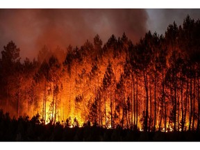 A forest fire in Louchats, south-western France, on July 17, 2022. Photographer: Thibaud Moritz/AFP/Getty Images