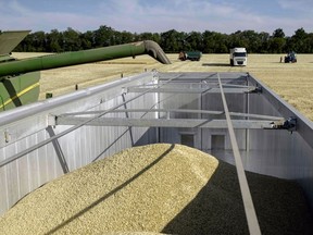 Freshly harvested wheat grain falls from a combine harvester into a trailer during the summer harvest in Kryvyi Rih, Ukraine, on Tuesday, June 28, 2022. Crop shipments from Ukraine -- one of the world's biggest wheat, corn and vegetable-oil exporters -- have been severely constrained as Russia's invasion blocks its Black Sea ports, sending global food prices to record levels.