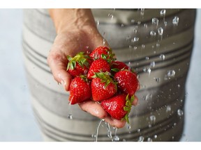A serving of strawberries may lower cholesterol
