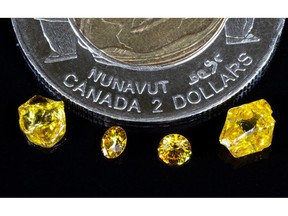 Rough and polished coloured diamonds from the Q1-4 kimberlite pipe at the Naujaat Diamond Project.