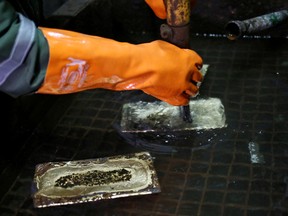 A worker cleans gold bars at South Africa's Gold Fields South Deep mine in Westonaria.