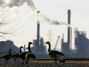 A group of Canada geese stand on railway tracks as a plant operates in the background at Hamilton Harbour in Hamilton, Ont.