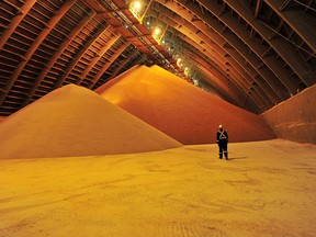A storage warehouse is seen at Nutrien's Cory potash mine near Saskatoon, Saskatchewan. The fertilizer maker now has 180 commercial units in Latin America, including customer-facing retail branches and experience centres, five industrial plants and four fertilizer blenders.