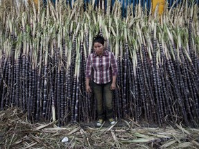 FILE - A woman sells sugar cane at the Oriental Market in Managua, Nicaragua, Dec 7, 2012. The Biden administration dropped Nicaragua from a list of countries that can ship sugar to the United States at low import tax rates, another attempt to put economic pressure on the authoritarian government of Nicaraguan president Daniel Ortega. The Office of the U.S. Trade Representative on Wednesday, July 20, 2022 put out the list allocating quotas to 39 countries for just over 1.1 million metric tons of raw sugar cane.