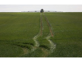 A tractor sprays a wheat field with fertilizer in Buntingford, U.K., on Friday, May 5, 2017. The U.K. government needs to agree a transition deal with the European Union to prevent the "potentially disastrous" effects on the nation's farms of trading on World Trade Organization terms, according to a parliamentary report.