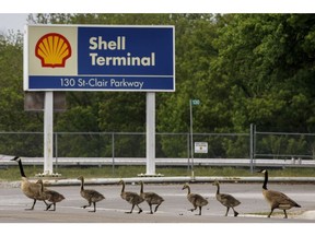 Canadian Geese walk by signage for a Royal Dutch Shell Plc refinery near the Enbridge Line 5 pipeline in Sarnia, Ontario, Canada, on Tuesday, May 25, 2021. Enbridge Inc. said it will continue to ship crude through its Line 5 pipeline that crosses the Great Lakes, despite Michigan Governor Gretchen Whitmer's order to shut the conduit.