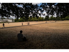 A visitor shelters in the shade of a tree on parched ground in Greenwich Park in the Greenwich district of London, UK, on Wednesday, Aug. 3, 2022. Across London -- and most of England -- the unprecedented heat this summer has pushed plant life, infrastructure and residents to the edge.