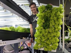 Brandon Hebor launched his vertical farming agribusiness — Boreal Greens — two years ago.