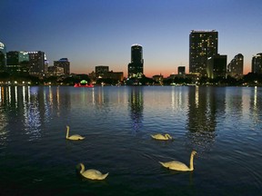 FILE - In this Monday, May 19, 2014 photo, swans swim in Lake Eola as the sun sets in Orlando, Fla. Ballots haven't even been printed yet, but already a group of landlords and real estate agents in Florida are trying to stop voters from deciding on a measure that would implement rent control for a year in the theme park hub that has been one of the fastest-growing metro areas in the U.S.