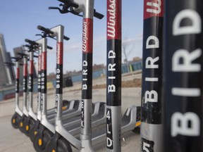 Bird e-scooters lined up at Dieppe Park in Toronto.