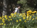 A student walks past flowers on the campus of the University of Waterloo in Waterloo, Ontario.