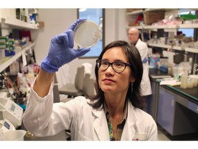 Dr. Dao Nguyen, Director, Centrul pentru Rezistență Antimicrobiană