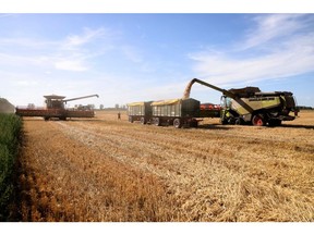 Wheat harvests in the northern hemisphere are helping ease supply constraints.