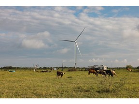 A wind farm near Brownsville, Texas.