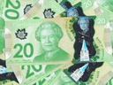 Unter Kanadas Papier-/Polymer-Nennwerten erscheint das Bild von Queen Elizabeth nur auf der 20-Dollar-Note.  Es gibt keine gesetzliche Verpflichtung, das Porträt des neuen Königs zu ändern, obwohl die Königin gestorben ist.