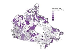 All coloured areas have been identified as gaps in Canada's protected areas network, and are therefore considered near-term priorities, with the colour gradient depicting the relative priority, dependent upon the number of overlapping conservation values. Importantly, any IPCA should be given priority for protected status.