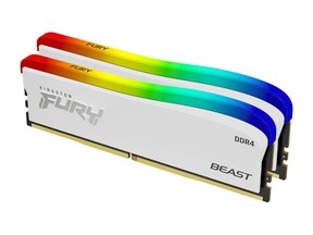 Whether you are gaming, video editing, or anything in between get the most out your system with Kingston FURY Beast DDR4 RGB Special Edition. The white heat spreader with striking RGB lighting makes these modules unique amongst the Kingston FURY line.