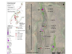 Figure 1: Plan map of Nambi target, locating Trado® auger holes and trenching along the main mineralized trend.