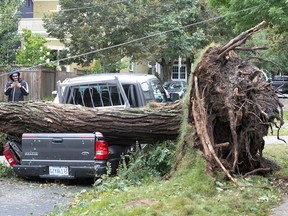 A fallen tree lies on a crushed pickup truck following the passing of Hurricane Fiona, later downgraded to a post-tropical storm, in Halifax