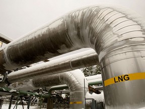 Liquefied natural gas (LNG) should see strong growth in the next decade and more, writes David Rosenberg and his team.