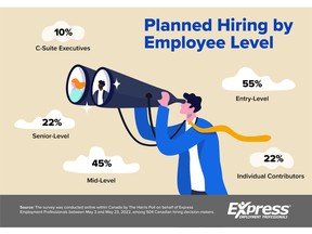 Planned hiring by employee level