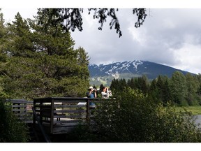 Explore the all-new Sea to Sky Bird Trail in Squamish and Whistler, along with two new Bird Trail Outposts in Langford and Osoyoos this fall, as part of the newly expanded BC Bird Trail. Photo Credit: The BC Bird Trail
