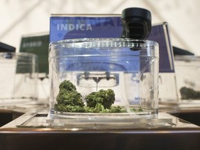 Cannabis is shown in a display jar on the first morning of opening for Toronto's "The Hunny Pot," one of the retail stores licensed to sell Cannabis in Ontario, on Monday, April 1, 2019. Toronto cannabis shoppers will soon be able to request cannabis deliveries through Uber Eats.