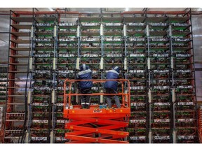 Engineers on a cherry picker adjust mining rigs at the CryptoUniverse cryptocurrency mining farm in Nadvoitsy, Russia, on Thursday, March 18, 2021. The rise of Bitcoin and other cryptocurrencies has prompted the greatest push yet among central banks to develop their own digital currencies.