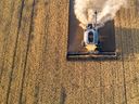 Una cosechadora corta trigo en una granja cerca de Dinsmore, Saskatchewan.  Los granjeros canadienses reportaron la tercera mejor cosecha de trigo registrada.  La producción de canola también aumentó un 42% con respecto al año pasado. 