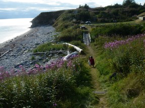 A photographer captures the vista in the south sector of Forillon National Park in Gaspesie, Que.