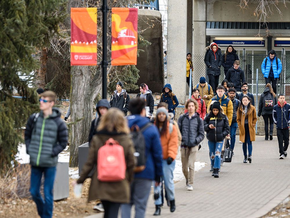bc immigration news international students