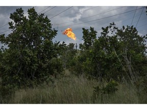 A gas flare burns at a Petroleos de Venezuela SA (PDVSA) facility in El Tigre, Venezuela, on Sunday, Oct. 14, 2018. State-owned PDVSA doesn't publish statistics, but environmentalists and analysts keep seemingly endless lists of examples of wayward crude - unleashed by busted valves, ripped gaskets, and cracked pipes - that they say has polluted waterways and farmland and probably has seeped into the nation's aquifers.