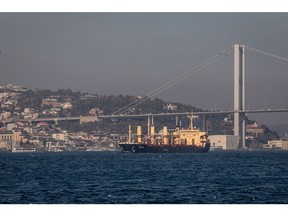 A vessel carrying Ukrainian on the Bosporus Strait in Istanbul.