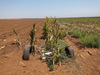 A farm field hit by drought