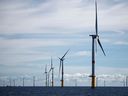 The Saint-Nazaire offshore wind farm off the coast of the Guérande Peninsula in western France has 80 wind turbines.