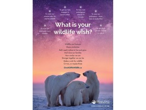 To learn more visit GiveAGifttoWildlife.ca.