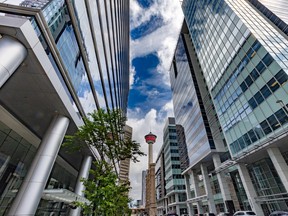 Office buildings frame the Calgary Tower.