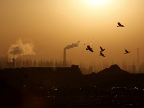 Birds fly over a closed steel factory where chimneys of another working factory are seen in the background, in Tangshan, Hebei province, China.