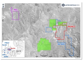 Location of the Organullo, Ana Maria, and Trigal Projects, together withNew Applications highlighted in green, Salta Province, Argentina.