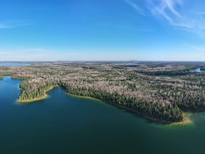 Nature Conservancy Canada's Boreal Wildlands project is seen in an undated handout photo. Banks know a growth market when they see it, and they're increasingly seeing one in the buying, selling and generating of carbon offsets.