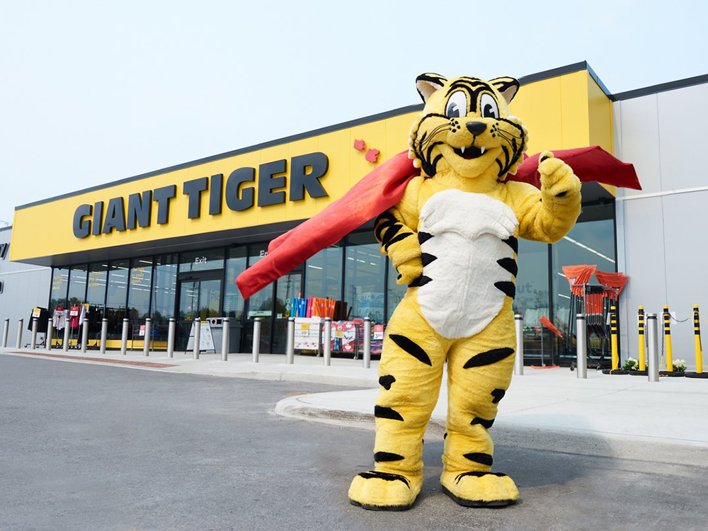 POV Supermarket Shopping - Giant Tiger in Stouffville, Ontario, Canada -  Dec 2022 