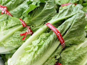 Canadians paid 30 per cent more for lettuce but overall price growth in food slowed slightly in October.