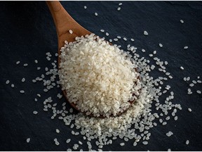 Perennial rice was developed by Yunnan University in China through a collaborative agreement with The Land Institute.