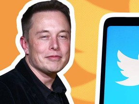 3 investments Elon Musk likes
