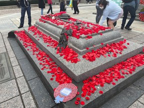 Red Poppies on the Tomb of the Unknown Soldier