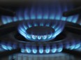 Blue flames on a stove powered by natural gas.